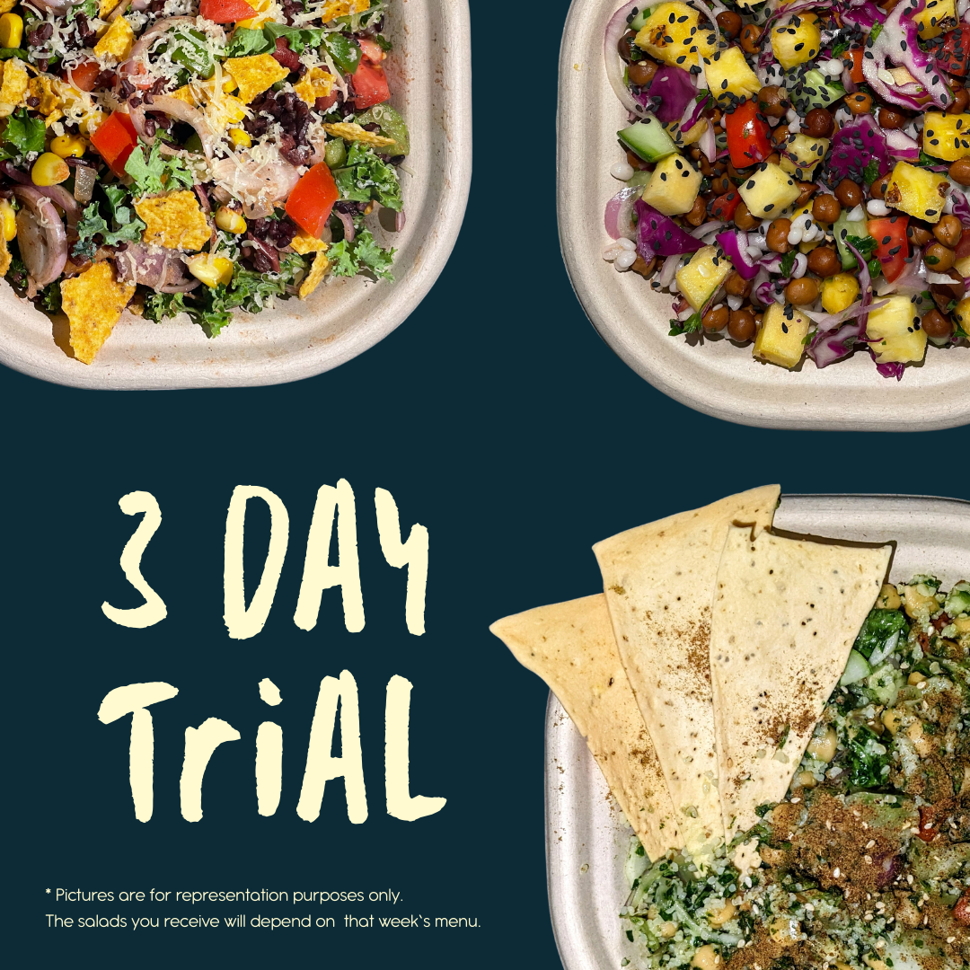 3-Day Trial